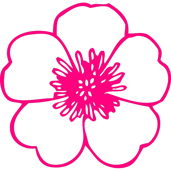 Pink Buttercup PNG images
