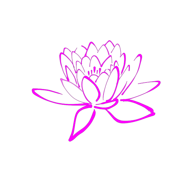 Pink Lotus  PNG Clip art