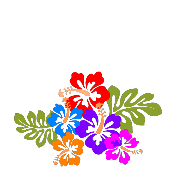 Hibiscus Sofi PNG Clip art