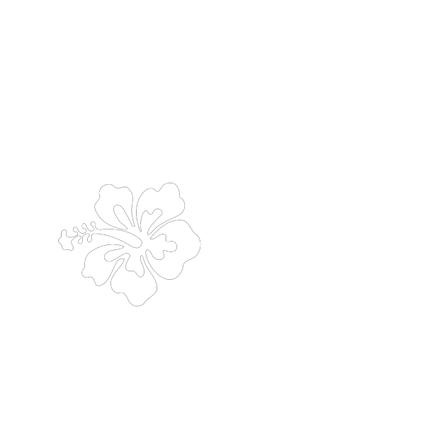 Hibiscus Flower PNG Clip art