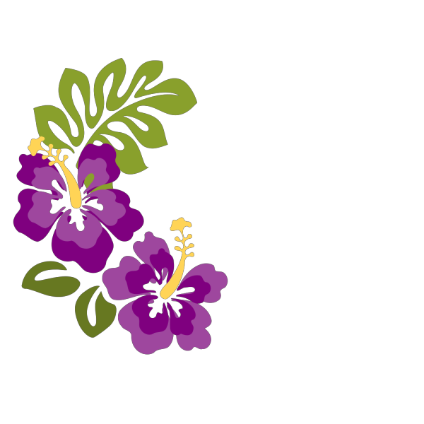 Hibiscus Pair PNG Clip art