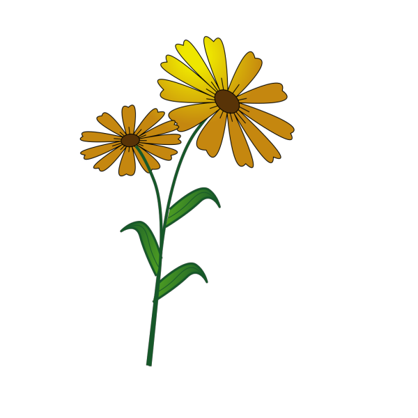 Daisy2 PNG images