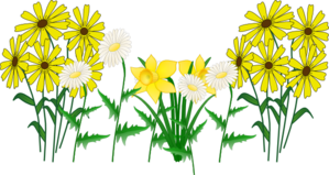 Some Flowers PNG Clip art