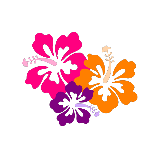 Hibiscus Color Trio PNG Clip art