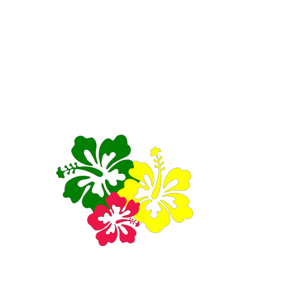 Hibiscus Flowers PNG Clip art