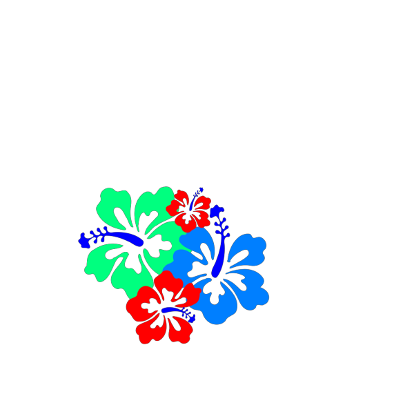 Hibiscus Flowers 4 PNG Clip art