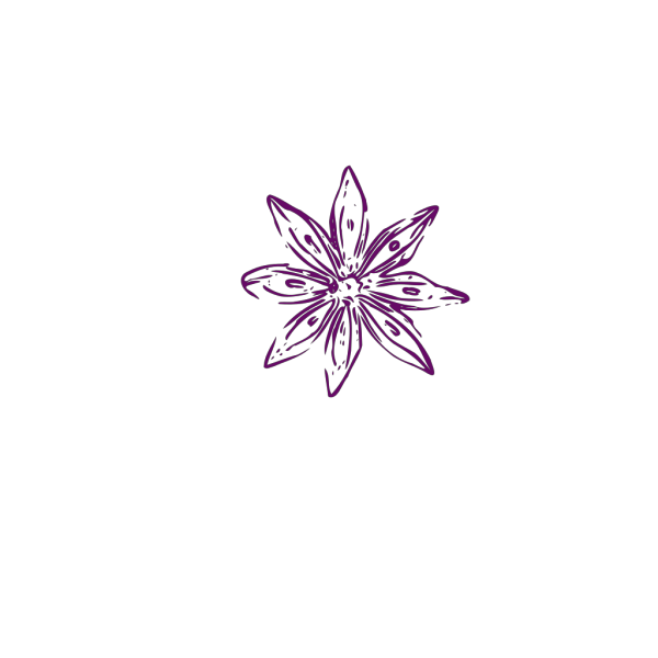 Purple Outline Flower PNG Clip art