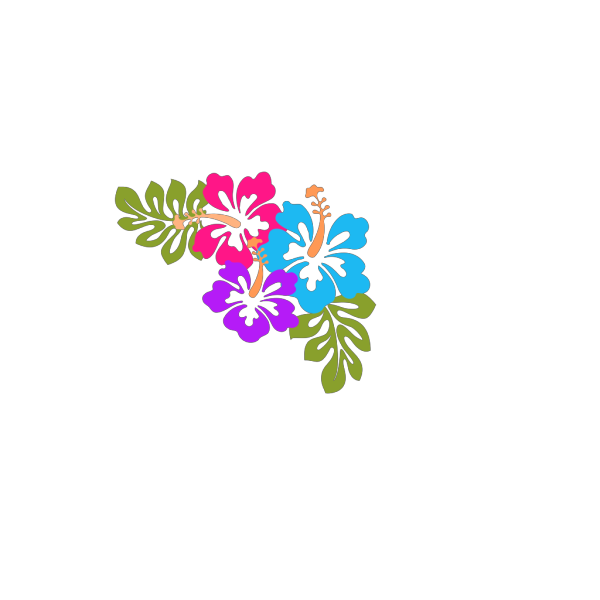Hibiscus  PNG Clip art