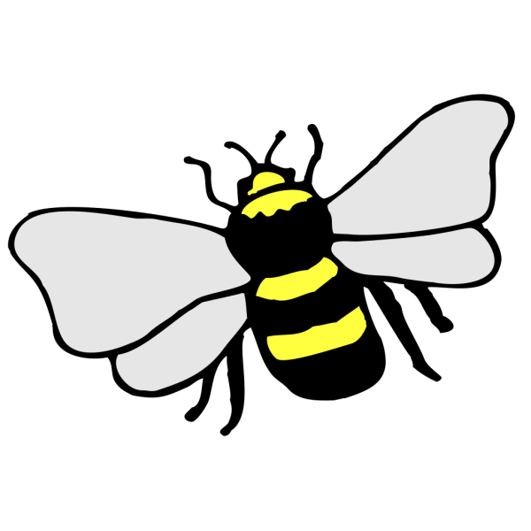 Simple Bee Cartoon PNG Clip art