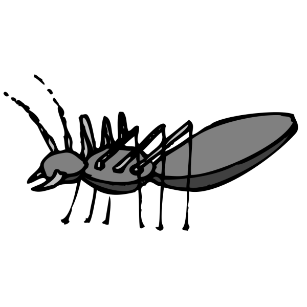 Gray Ant Side View PNG Clip art