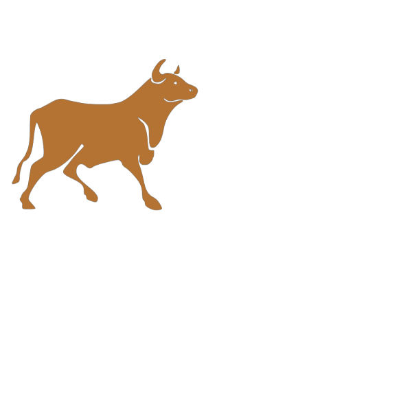Bull PNG images
