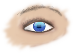 Eye PNG Clip art