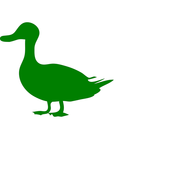 Swimming Brown And Green Duck PNG Clip art