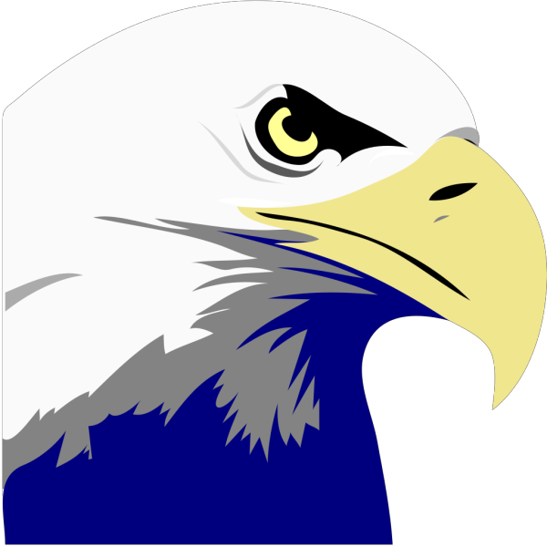 Bald Eagle Head PNG Clip art