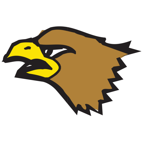 Brown Eagle Head PNG Clip art