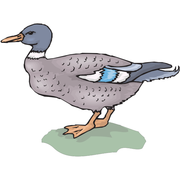 Duck On Grass PNG Clip art