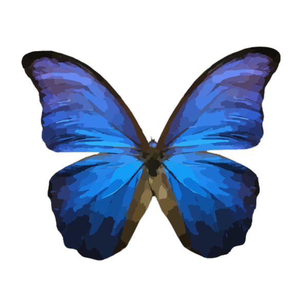 Butterfly PNG Clip art