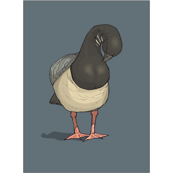 Duck With Blue Background PNG Clip art