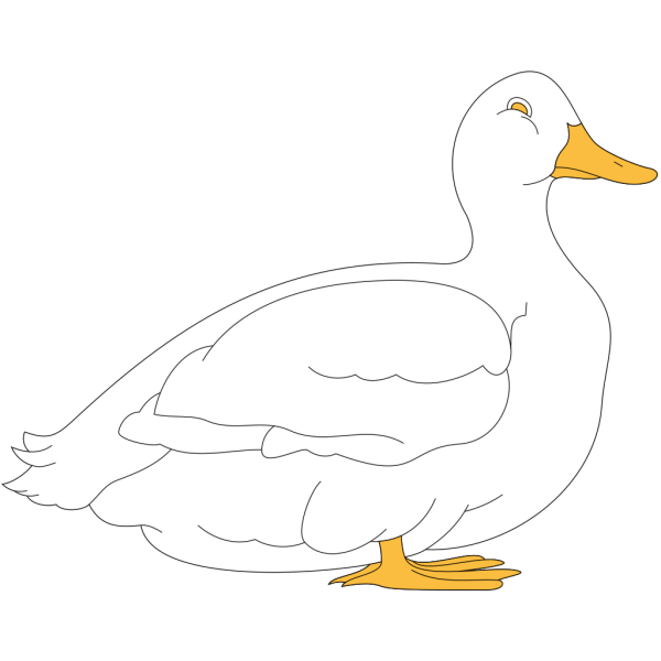 White Duck PNG Clip art