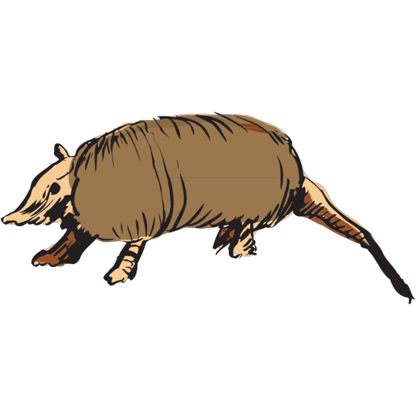 Armadillo PNG images