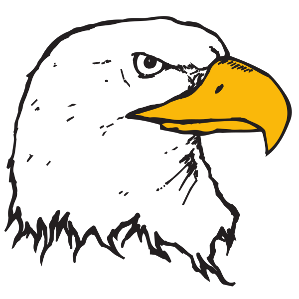 Bald Eagle Head PNG Clip art