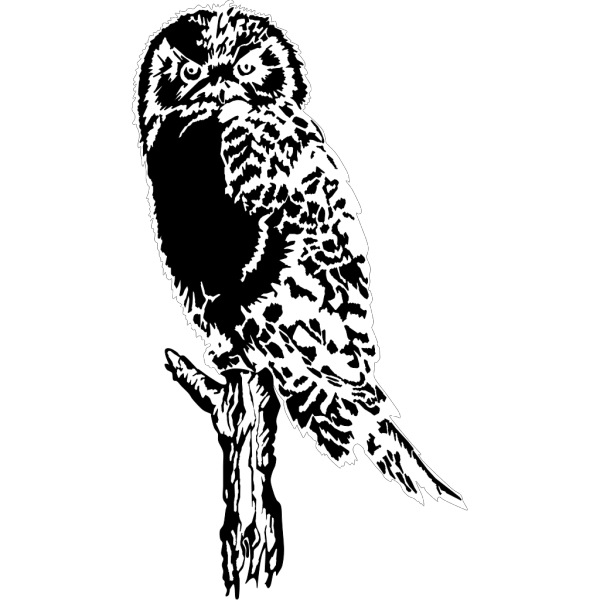 Cartoon Owl On Branch PNG Clip art