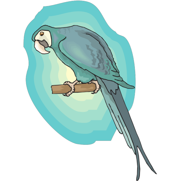 Perched Macaw PNG Clip art