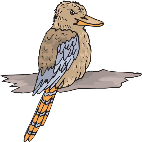 Kookaburra PNG Clip art