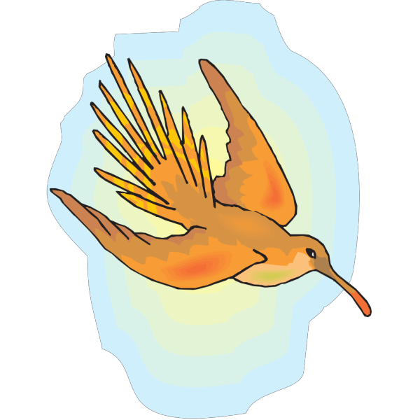 Flying Hummingbird Art PNG Clip art