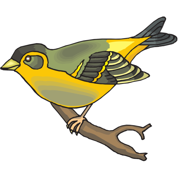 Goldfinch PNG images