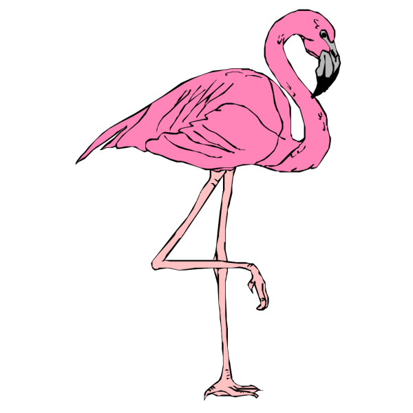 Pink Flamingo PNG Clip art
