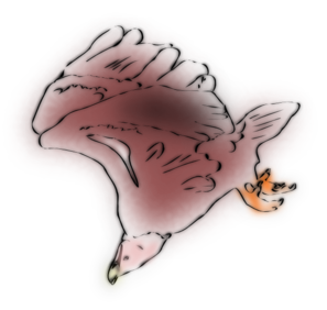 Vulture PNG Clip art