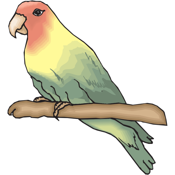 Peachfaced Lovebird PNG, SVG Clip art for Web - Download Clip Art, PNG