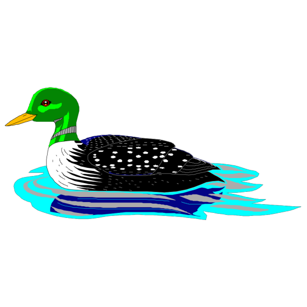 Swimming Loon PNG Clip art