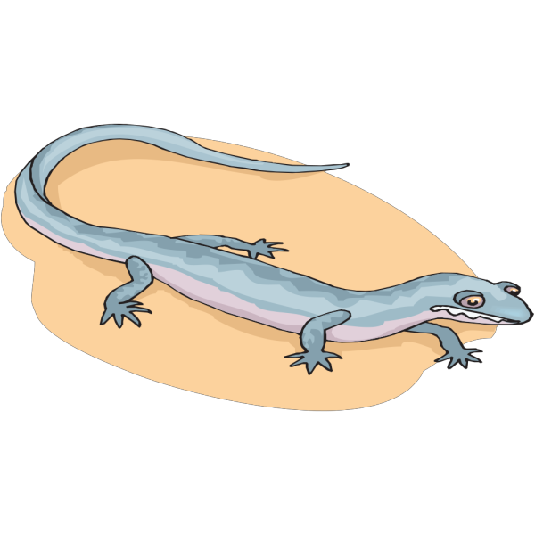 Blue Salamander In The Sand PNG images