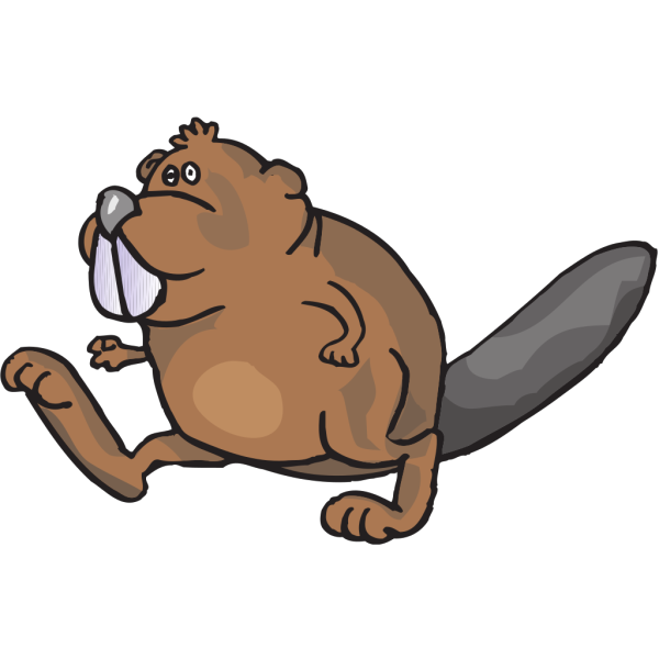 Beaver Walking PNG Clip art