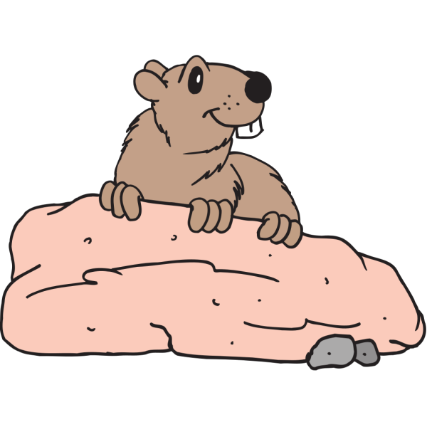 Beaver On A Rock PNG images