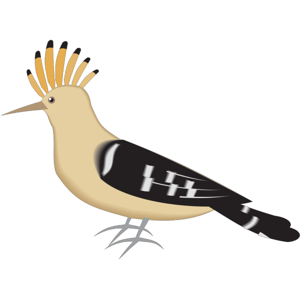 Hoopoe PNG images