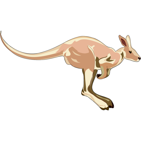 Kangaroo PNG images