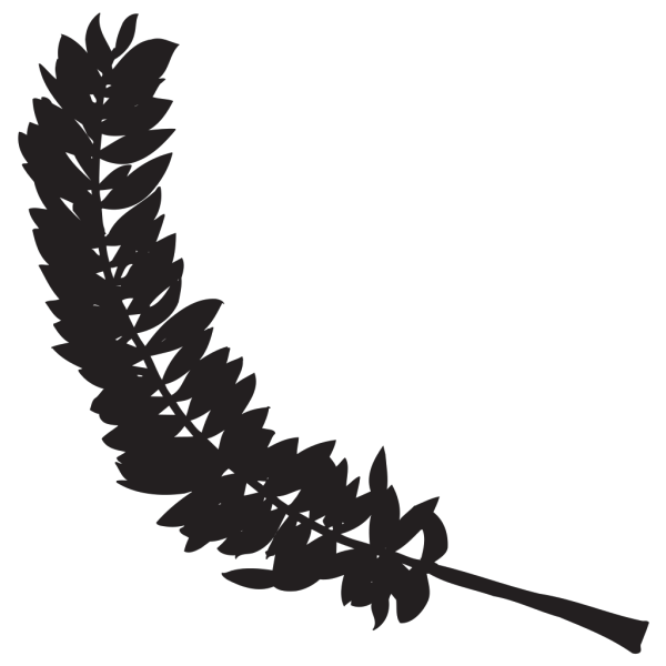 Feather Silhouette PNG Clip art
