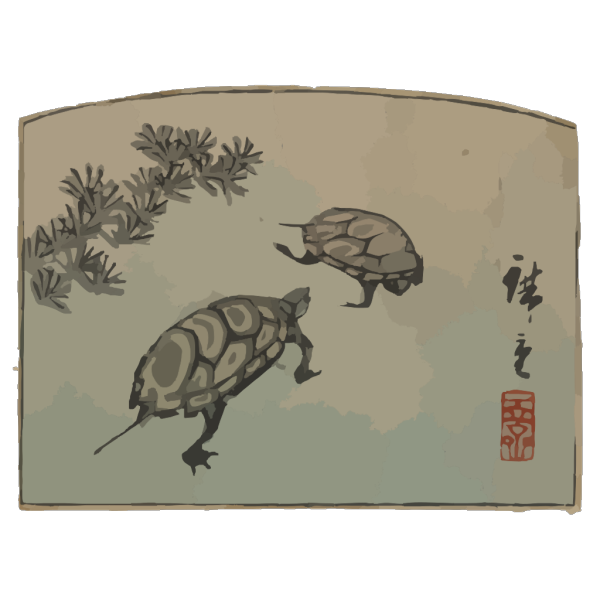 Turtles PNG images