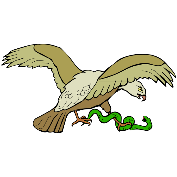 Eagle With Snake PNG Clip art