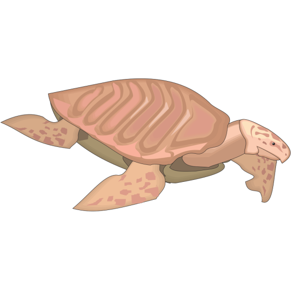 Archelon Ischyros PNG images