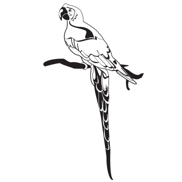 Parrot On Branch PNG Clip art