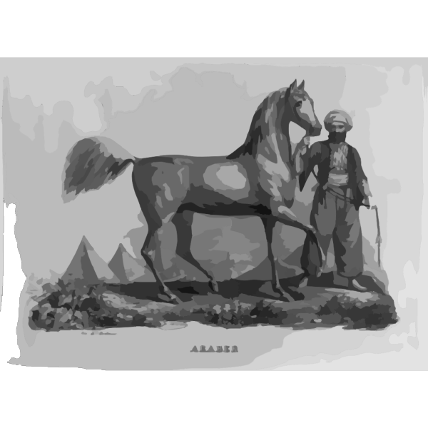 Araber Arabian Horse PNG images