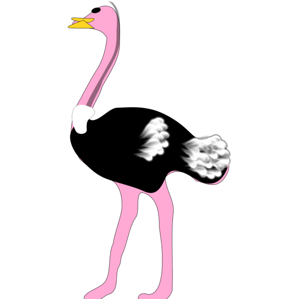 Ostrich PNG images