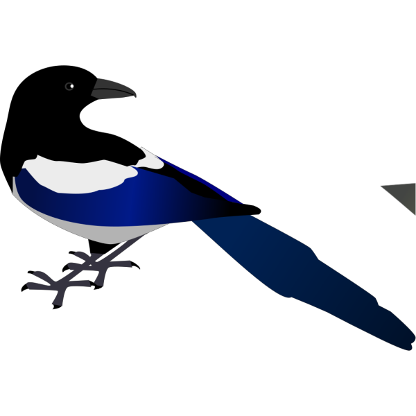 Magpie Bird PNG Clip art