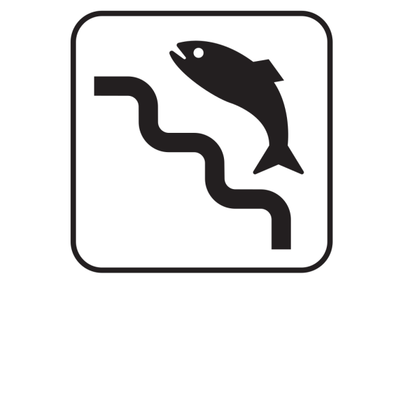 Fish Ladder White PNG Clip art