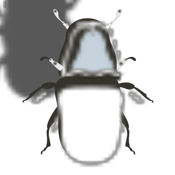 Bug PNG Clip art