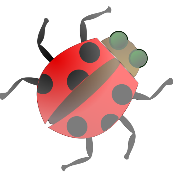 Fly Bug Insect PNG images
